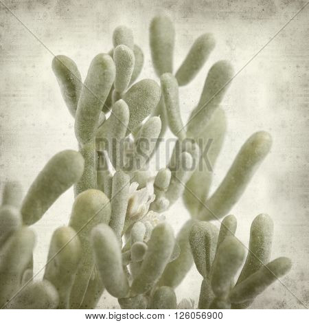 Textured Old Paper Background