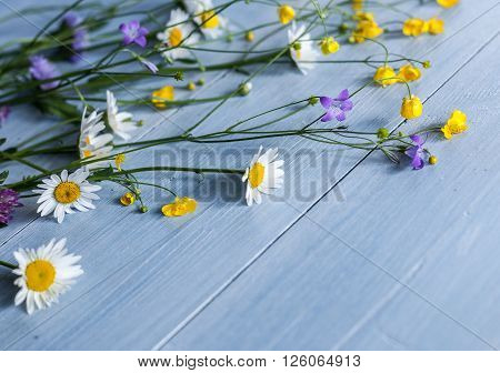 Wild flowers on wooden background copyspace vintage
** Note: Visible grain at 100%, best at smaller sizes