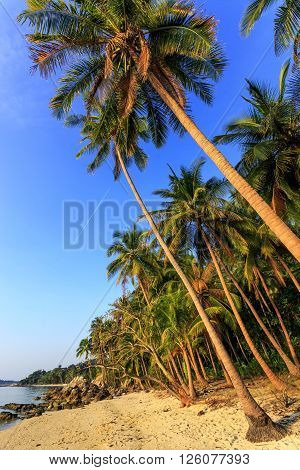 Taling Ngam Beach At Evening