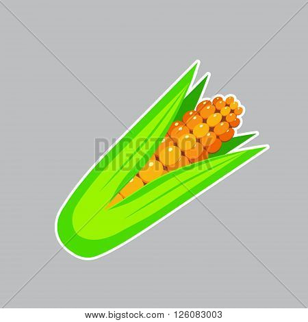 Flat Sweet Corn Icon on a Gray Background.