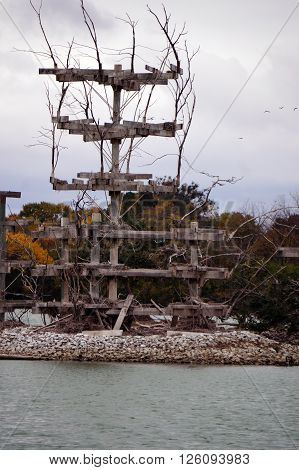 The Lake Renwick Heron Rookery Nature Preserve, in Plainfield, Illinois, provides nesting platforms for herons on an island in Lake Renwick,