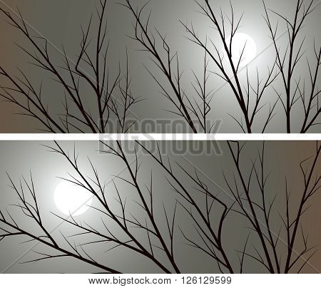 Set of horizontal abstract wide banners branches of trees against the moon.