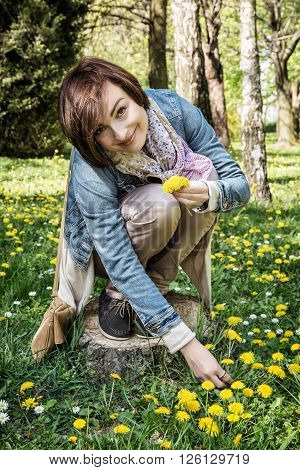 Young beautiful brunette woman making the bouquet of dandelions in the park. Seasonal natural beauty.
** Note: Soft Focus at 100%, best at smaller sizes