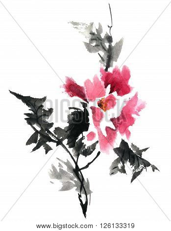 Watercolor and ink illustration of blossom flower. Gohua sumi-e u-sin painting.