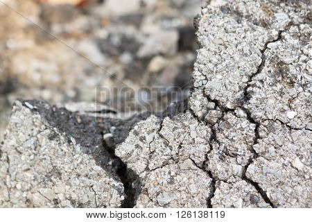 Macro Closeup On Concrete Asphalt Cracks On The Road.