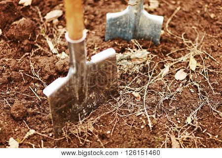 The garden tool shovel a close up.
