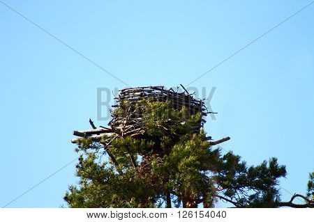 Human made Osprey nest. This Osprey nest is human made and last summer there was a nesting Osprey couple with three chicks