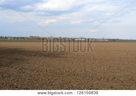 Plowed and sown agricultural field, spring season