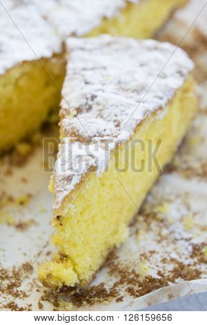 a slice of sponge cake with icing sugar and sparse crumbs