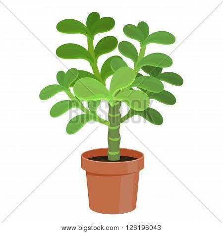 Cactus in a pot - home flower. Vector illustration.