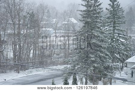 Looking down on a snow covered road within Torrington Connecticut during a winter storm as snow coats everything.** Note: Visible grain at 100%, best at smaller sizes