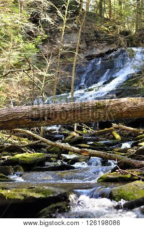 A fallen tree across the water coming off of the Dean's Ravine waterfall on the mohawk trail in Falls Village Connecticut in the spring.