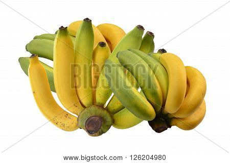 ripe bananas isolated on white background .