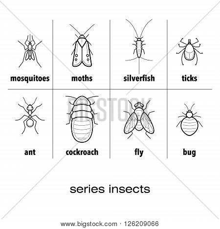 A set of vector insects - mosquito, moths, silverfish, mites, ants, cockroach, fly, bug isolated on white background. The linear design.