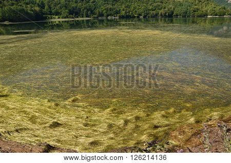 nice view of a lake after raining a whole night