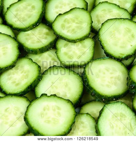 Fresh Cucumbers as background. Cucumber textured macro