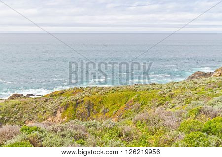 Beach At Garrapata State Park, California