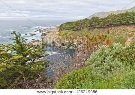 Beach At Garrapata State Park, California