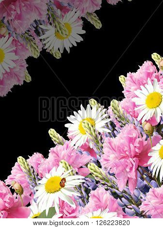 Delicate floral background. Peonies, lupins and daisies