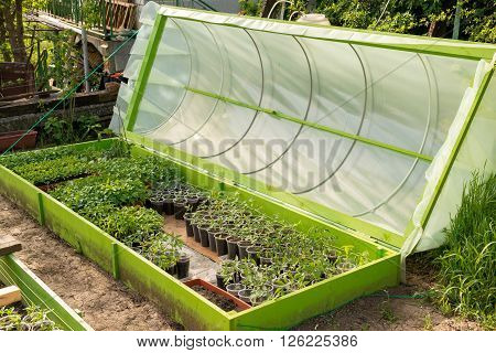 Greenhouse For Growing Seedlings