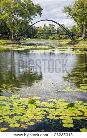 Pond And Bridge
