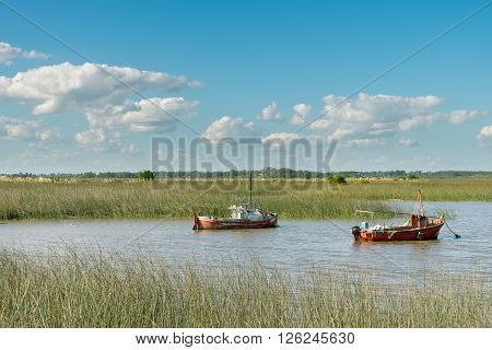 Enjoying the afternoon at the Santa Lucia wetlands.
Santa Lucia, Santiago Vazquez, Montevideo, Uruguay.
