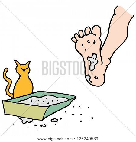 An image of a Man stepping in dirty kitty litter box.