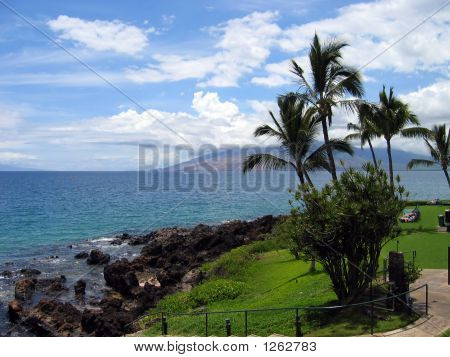 Maui Resort