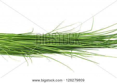 Close-up fragment crop of the green onion scallions, composition isolated over the white background