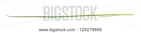 Green onion scallions isolated over the white background