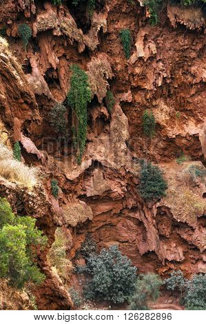 Ouzoud Waterfalls located in the Grand Atlas village of Tanaghmeilt, in the Azilal province in Morocco, Africa