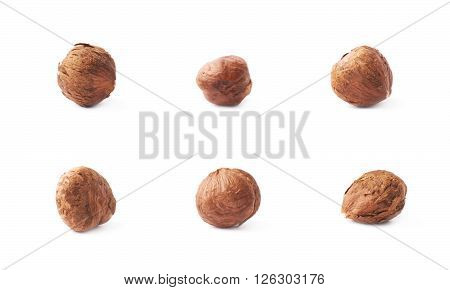 Mulitple single hazelnut nuts isolated over the white background, set of six images