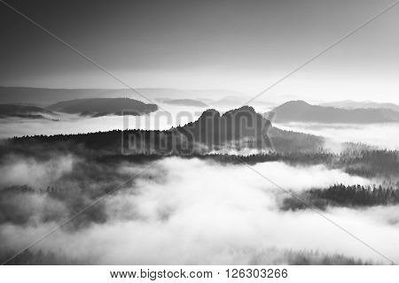Famous Spring Weather  In Nauture  Within Inversion. Treetops Increased From Creamy Fog.
