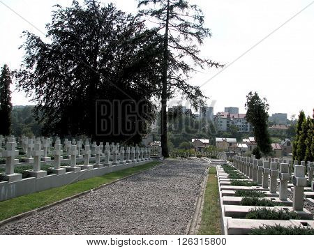 Memorial Crosses On The Graves