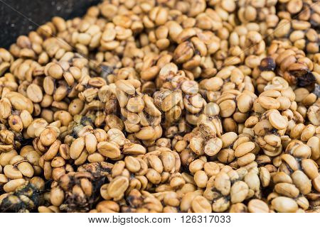 Coffee series : Closeup of coffee beans excreted by civet