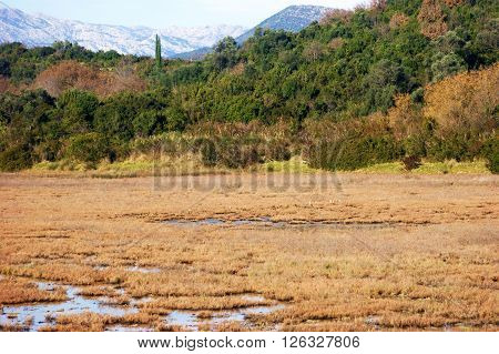 Nature saltmarsh near city of Tivat (Montenegro)
