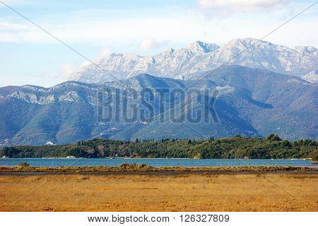 Autumn landscape in saltmarsh near city of Tivat, Montenegro