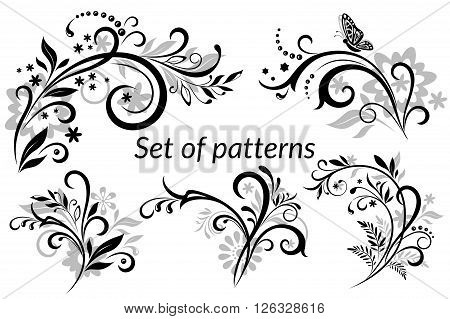 Set of Vintage Calligraphic Elements, Floral Patterns and Butterfly, Black and Grey Silhouettes Isolated on White Background. Vector