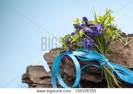 spring flowers on a background of tree bark,card with flowers.