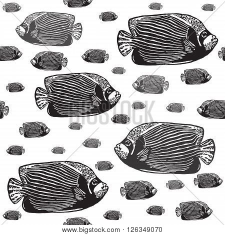 Emperor angelfish black and white seamless vector pattern. Realistic engraved style of fishes on white background.