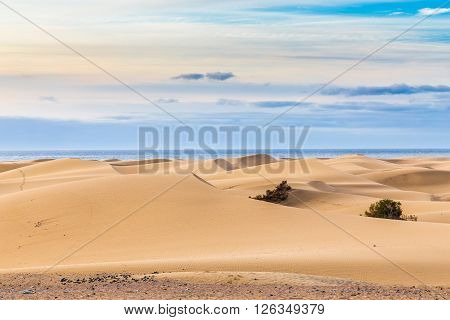 Maspalomas Sand Dunes During Sunrise - Maspalomas Gran Canaria Canary Islands Spain