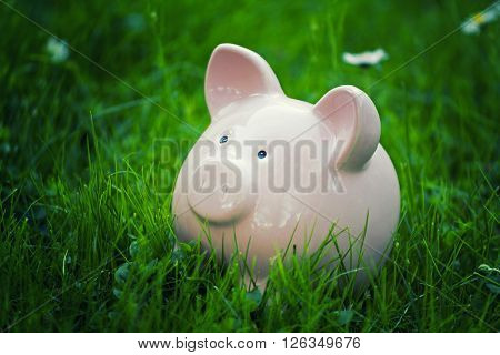 close up of classic piggybank money safer