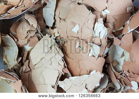 egg shell many lot a creaked fracture