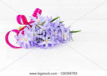 Bouquet Of Spring Flowers Decorated With Ribbon On White Wooden Background. Copy Space. Chionodoxa F
