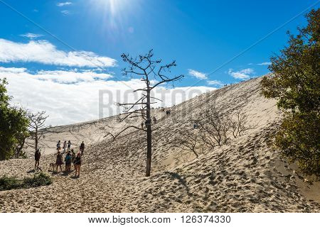 People Visiting The Highest Sand Dune Of Pyla In Europe