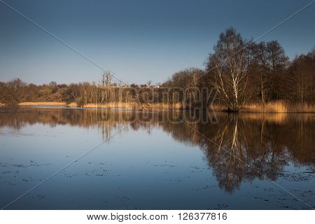 Calm lake in swamp landscape and autumn sunlight