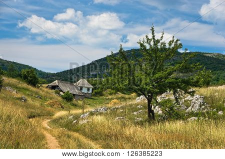 Small path through Pester countryside landscape in southwest Serbia