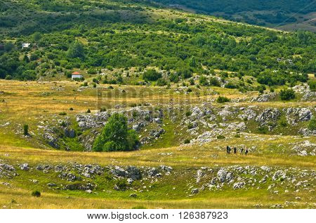 Karst sinkholes, detail from Pester plateau landscape in southwest Serbia
** Note: Visible grain at 100%, best at smaller sizes