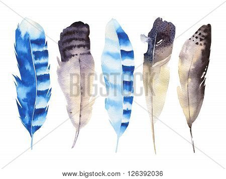 Hand drawn watercolor feather set. Boho style. illustration isolated on white. Design for T-shirt invitation wedding card.Rustic Bright colors.