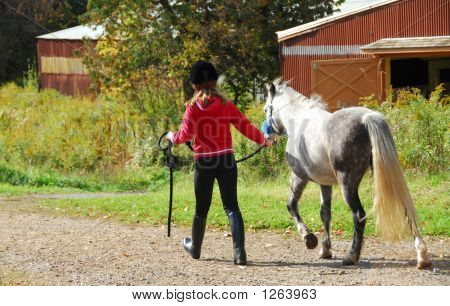 Ragazza e Pony